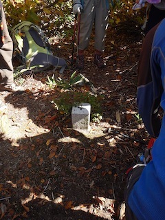 c0359615_18480841.jpg