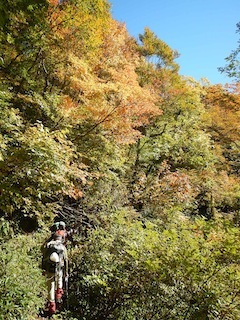 c0359615_18485912.jpg