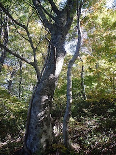 c0359615_22233697.jpg
