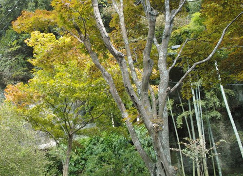 b0285619_834480.jpg