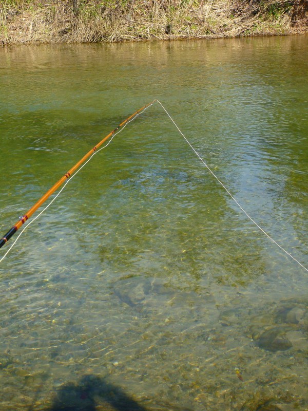d0091323_17443375.jpg