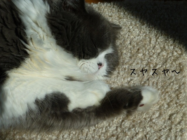 e0237625_21305522.jpg
