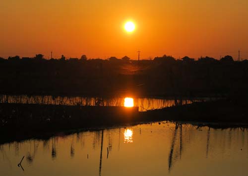 f0147025_20352097.jpg