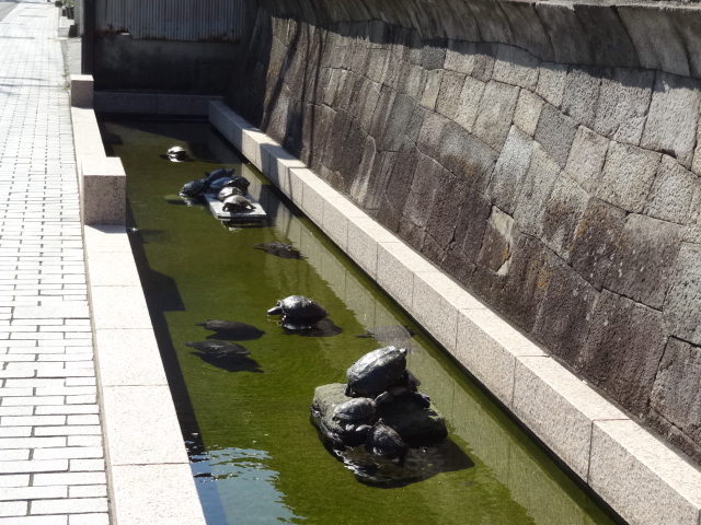 e0016828_10581170.jpg