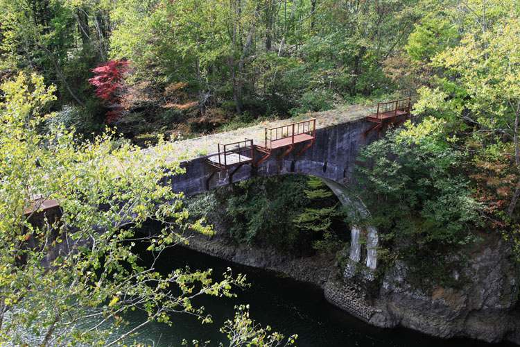 f0116528_2075576.jpg