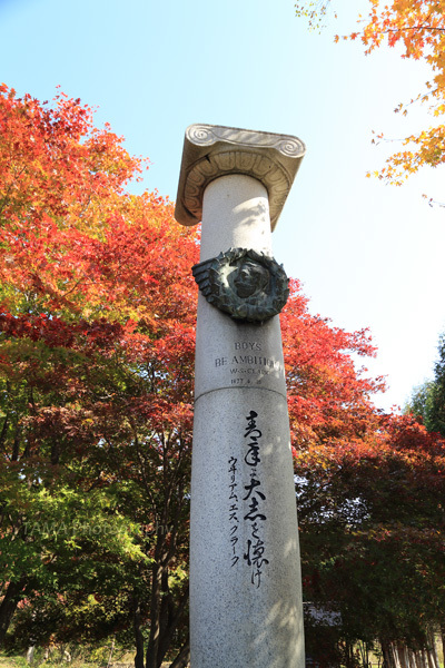 c0024729_11130634.jpg