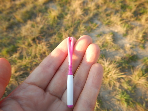 f0118332_23133179.jpg