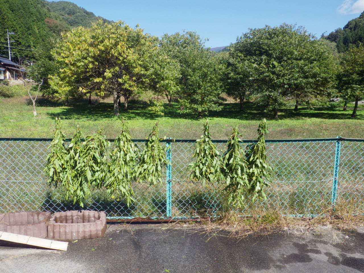 c0300035_13115885.jpg