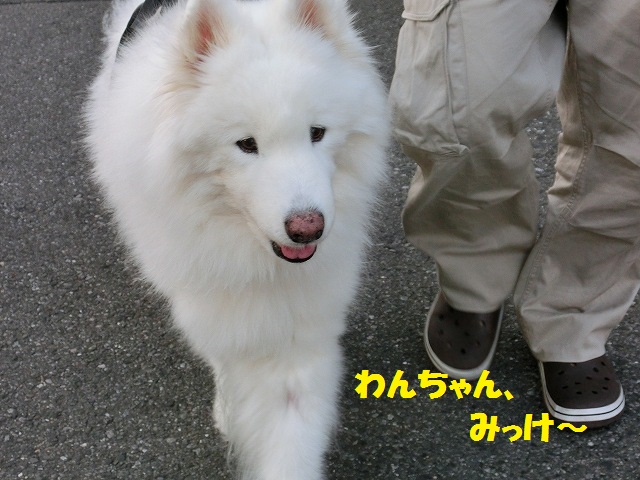 e0196135_20183183.jpg