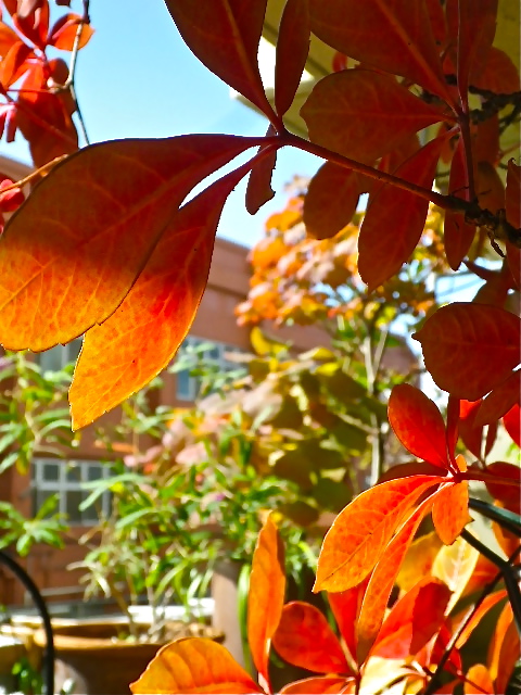 b0027736_10331695.jpg