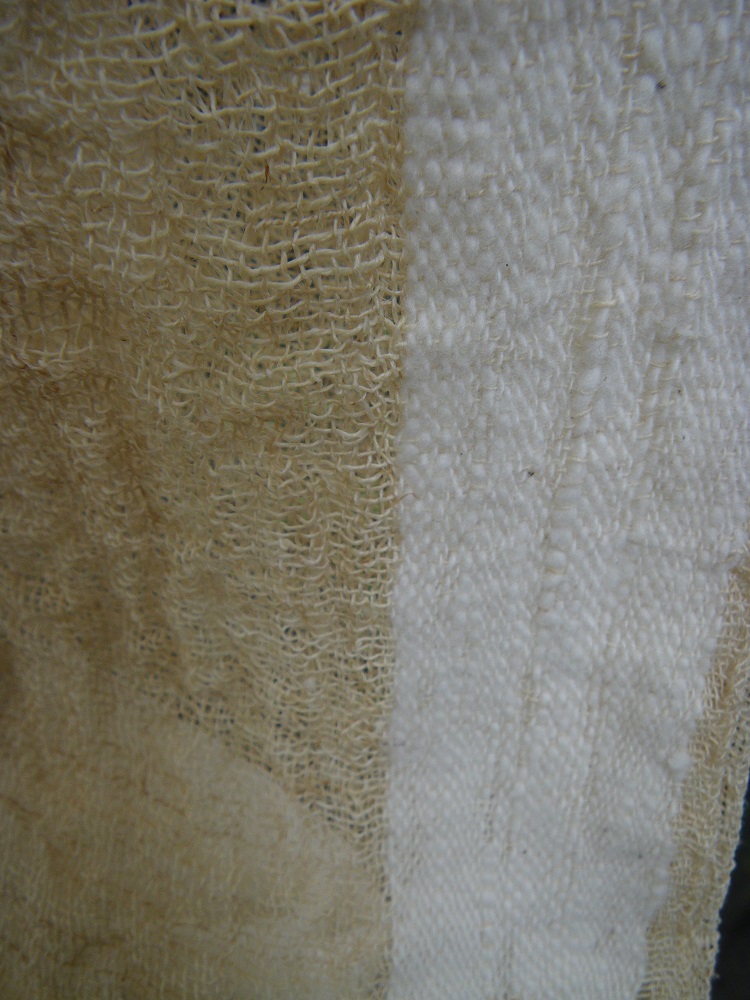 c0033636_8594597.jpg