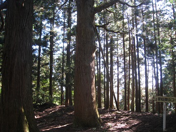 c0077338_2034196.jpg