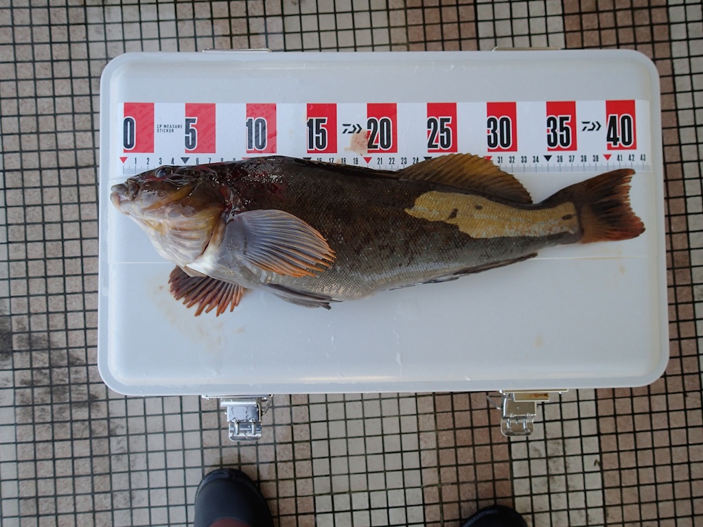 f0280739_21275639.jpg