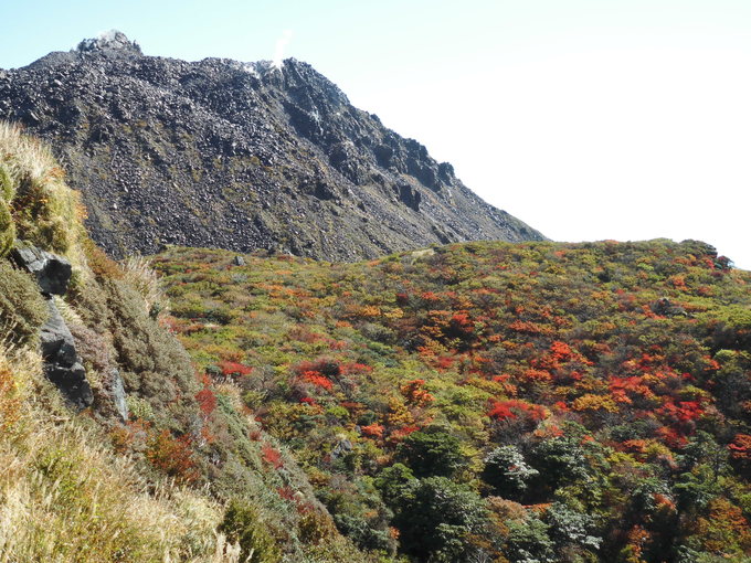 a0206345_21471545.jpg