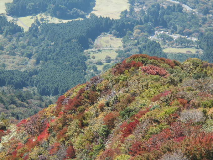 a0206345_22344297.jpg