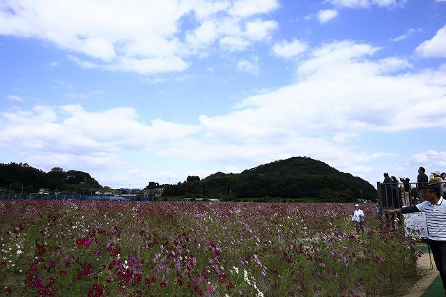 f0340155_09433833.jpg