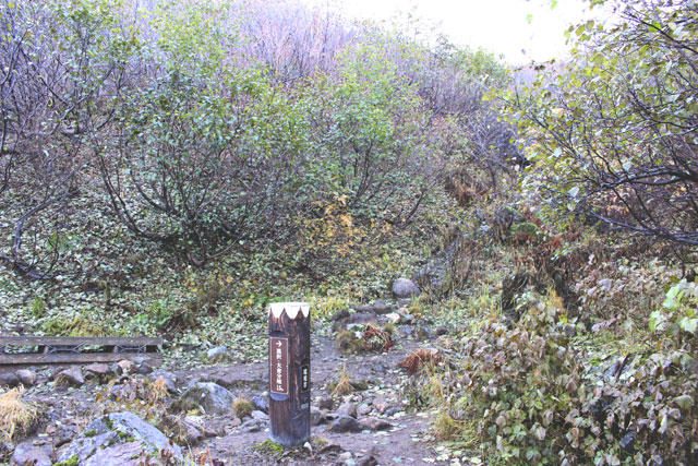 c0116856_2132980.jpg