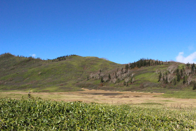 c0116856_21423346.jpg