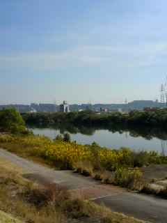 f0052564_205237.jpg