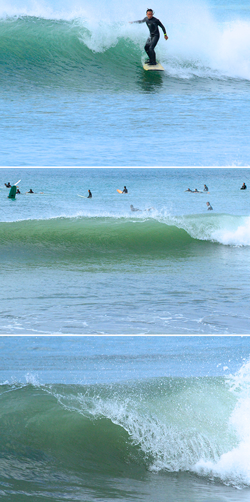 a0157069_2013876.jpg