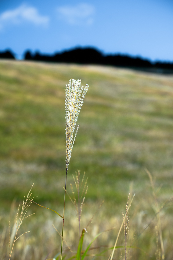 a0301676_12082471.jpg