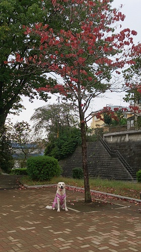 b0136381_15485516.jpg