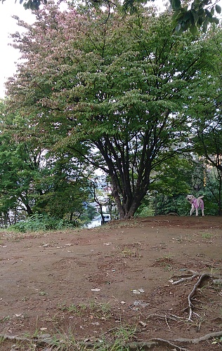 b0136381_15521948.jpg