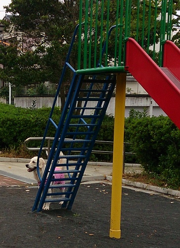 b0136381_1553465.jpg