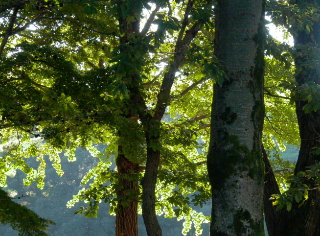 e0165983_19115812.jpg