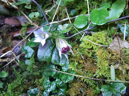 e0086885_13332308.jpg