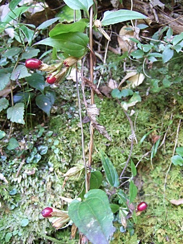 e0086885_13364645.jpg