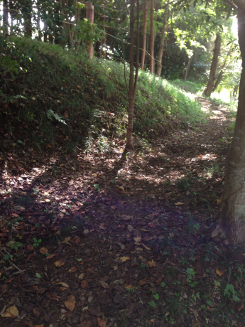 c0316186_00493340.jpg