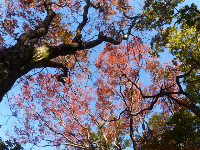 f0357487_10361827.jpg