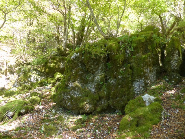 f0357487_1050125.jpg