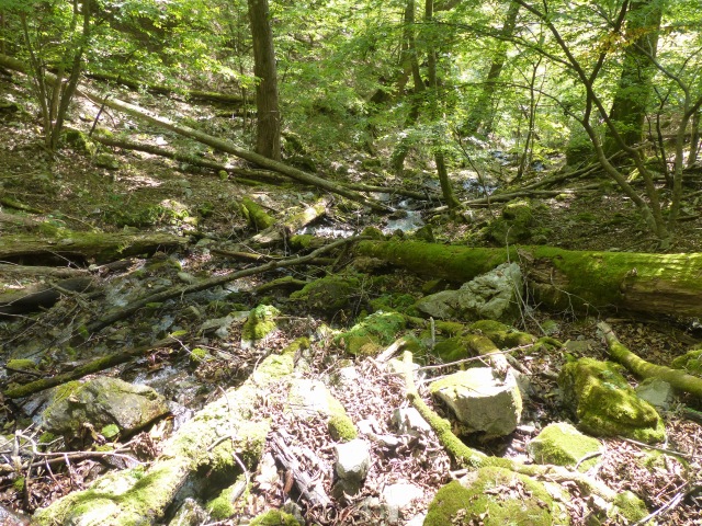 f0357487_1105346.jpg