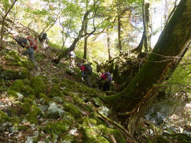f0357487_1172064.jpg