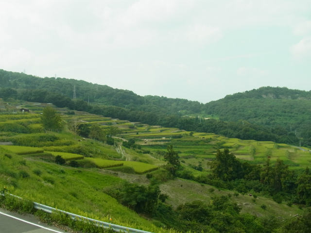 e0003090_14311519.jpg