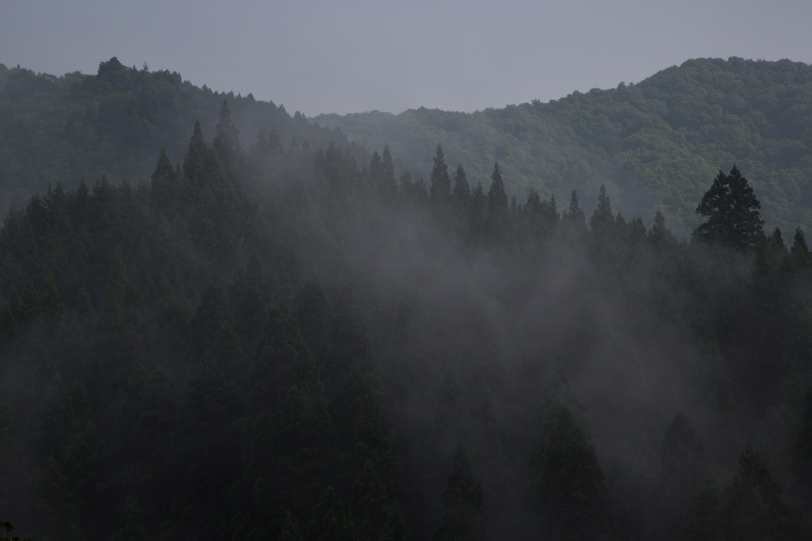 c0248100_21225596.jpg
