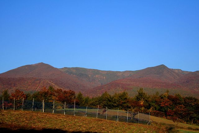 e0137200_22552579.jpg