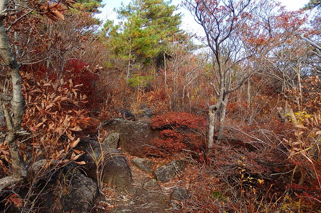 e0137200_2310356.jpg