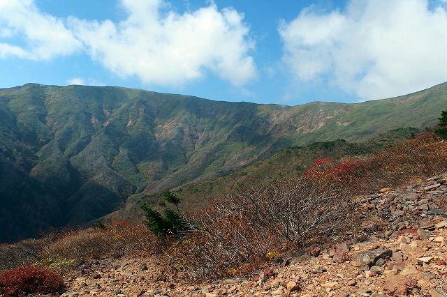 e0137200_2332882.jpg