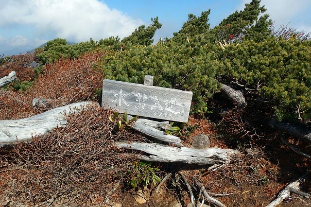 e0137200_236119.jpg