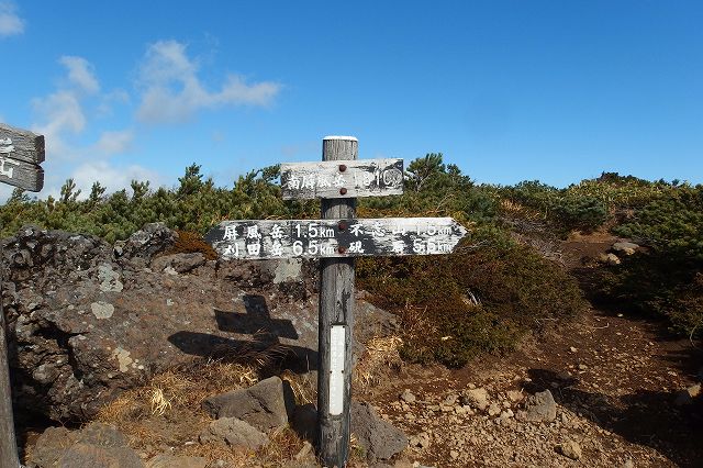 e0137200_23781.jpg