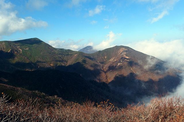 e0137200_2384461.jpg