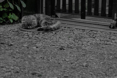 f0239100_20101259.jpg