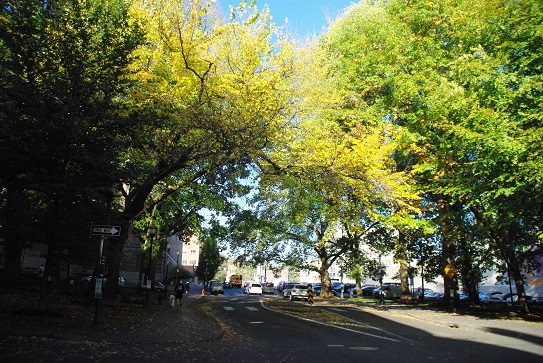 f0038904_716742.jpg