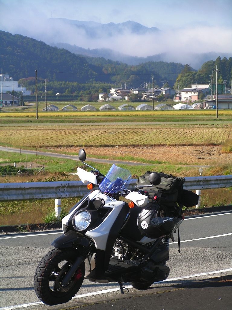 c0001613_6585240.jpg