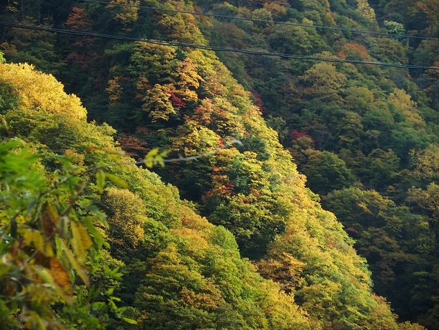 e0339317_22165597.jpg