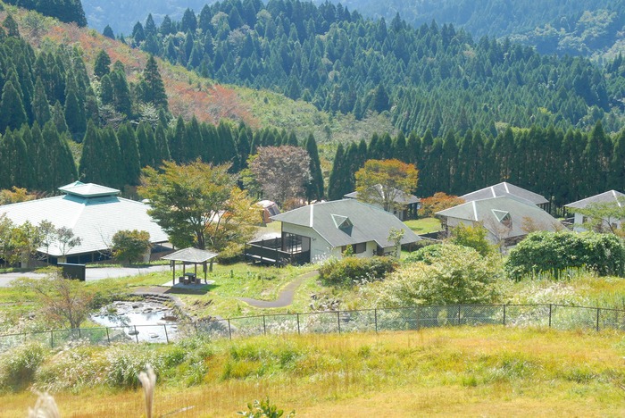f0174419_20282576.jpg