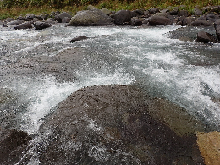 f0103126_2044128.jpg